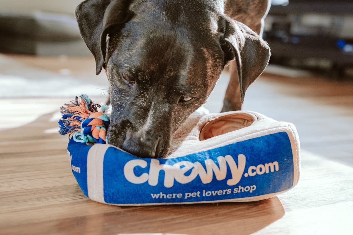 Hoteli za Kućne Ljubimce